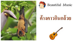 ค้างคาวกินกล้วย Song Of Bats 