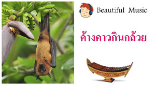 ค้างคาวกินกล้วย  Song Of Bats